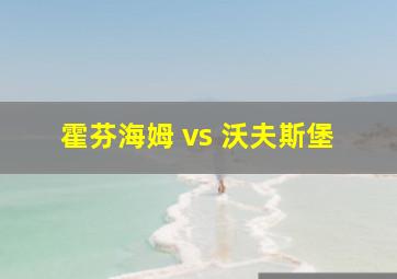 霍芬海姆 vs 沃夫斯堡